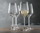 Lifestyle Champagne Glass 310 ml