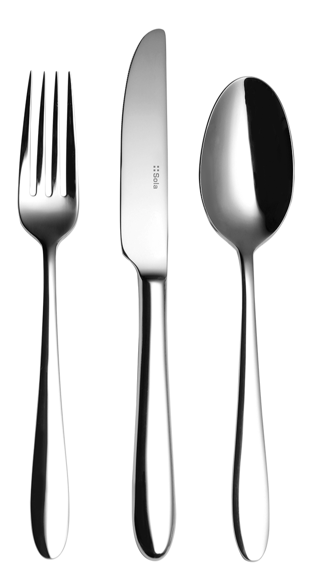 TURIN Cutlery Stainless Steel Mirror